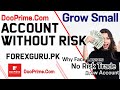 How to grow your small account without risk  forexgurupk