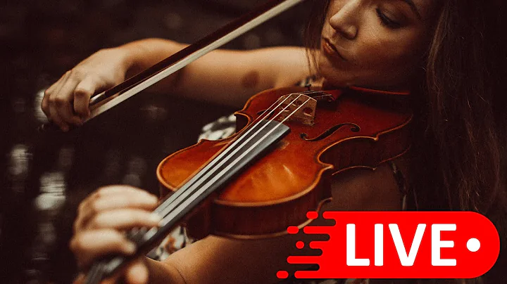 LIVE Violin Stream | Music for Dinner, Study, Chill