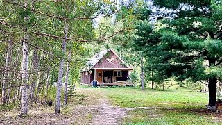 Simple Off Grid Homesteading: Chicken Run, Adding Roosters To Our Flock