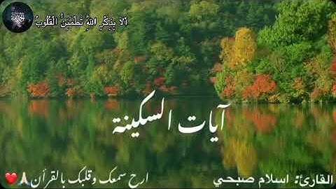 آيات السكينة🙏🏻❤️ || إسلام صبحي