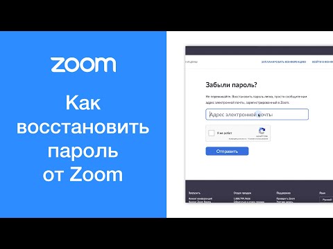 Как восстановить пароль от Zoom (на компьютере)