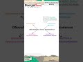 Разбираем задание 17 из демоверсии ЕГЭ-2026 по русскому языку #егэ  #егэпорусскому #егэ2026
