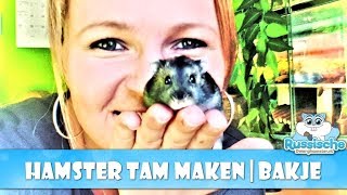 🐹 Hamster tam maken voor beginners - De Bakjes methode