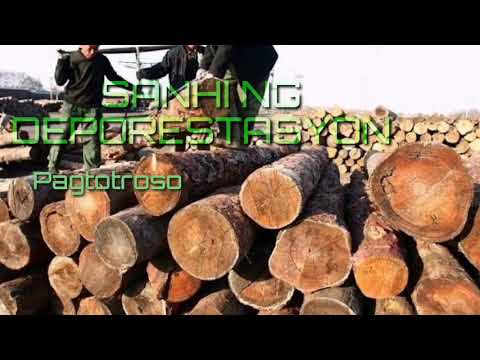 Video: Ano ang mga sanhi at epekto ng deforestation?