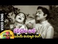 Osey Vayyari Rangi Video Song Palletoori Bava Telugu Movie ANR Lakshmi Mango Music Osey Vayyari Rangi Video Song Palletoori Bava Telugu Movie ANR Lakshmi Mango Music