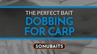 Dobbing for carp - the perfect bait