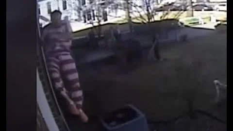 Cocke Co. Jail ups security after inmate jumps out window in escape attempt