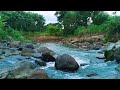 Stay Clear-Headed with River Flow and Soft Birdsong