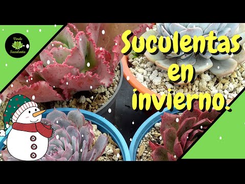 Consejos y recomendaciones