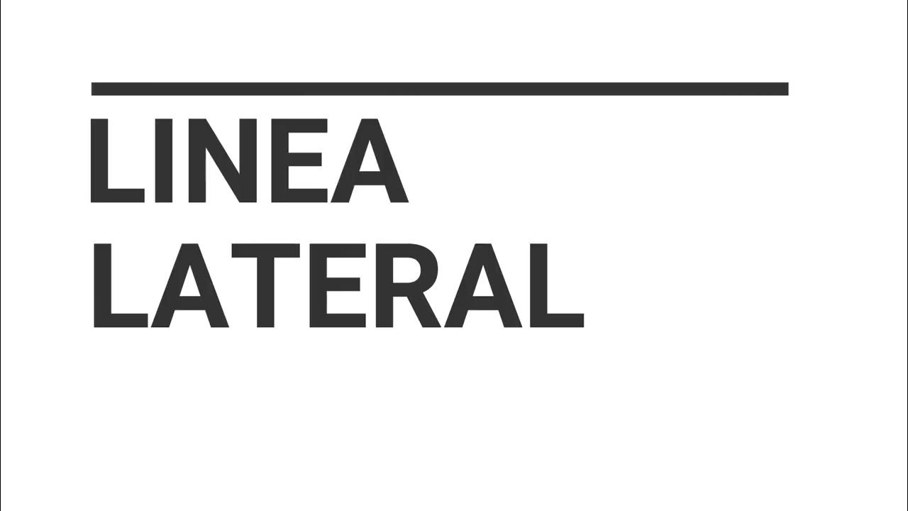 Scouting Colorados Cibapac YouTube