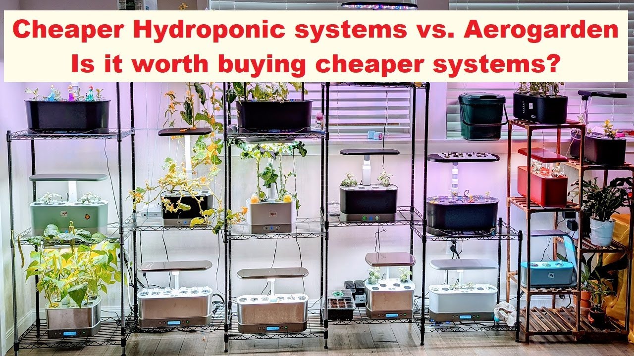 Cheaper Systems Cheaper/Inexpensive Hydroponic systems vs. Aerogarden - Is it worth ...