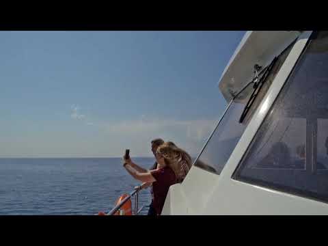 callypso - VirtualPro360