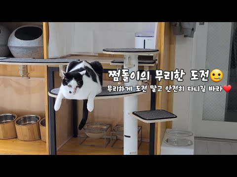 점돌이의 무리한 도전🥲