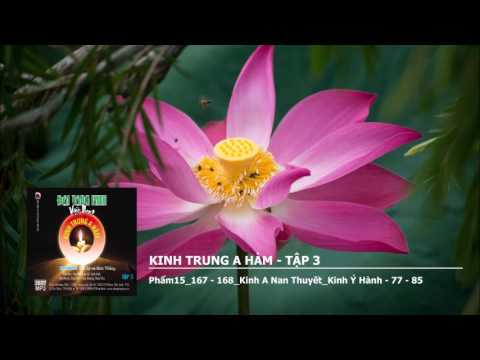 Video Kinh Trung A Hàm - Tập 3 - Phẩm15-167 - 168-Kinh A Nan... - youtube