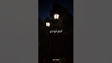 ومن الناس من يعجبك قوله في الحياة الدنيا | من سورة البقرة | #المنشاوي