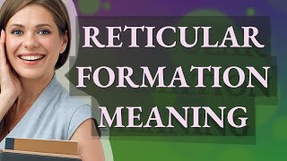 Reticular formation | meaning of Reticular formation