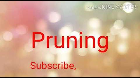 Pruning lecture|types,principles , objective|full guide about pruning in easy method.