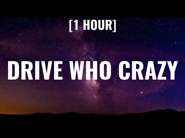 D4M $loan - Drive Who Crazy (Lyrics) 