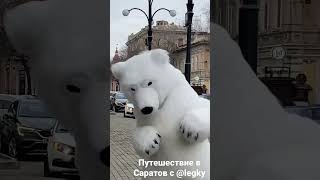 Медведи на улицах пляшут