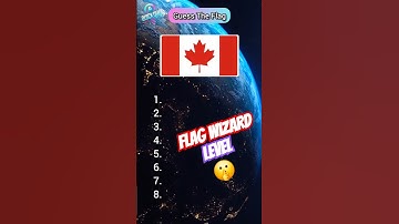 Guess The Country By Flag! Impossible To Get 8/8 #shorts