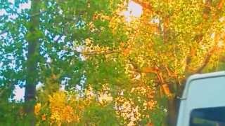 WP 20151006 006