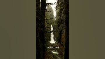 Quran Kareem story 🌸WhatsApp《 سوره المؤمنون 》  أجمل قرائه قرآن كريم حالات واتس 🍃