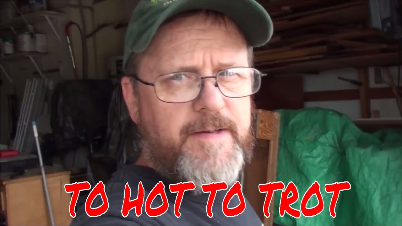 neighborhood synonym TOO HOT TO TROT