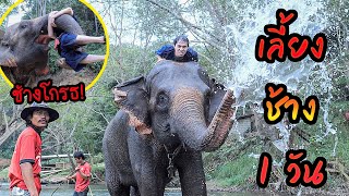 ใช้ชีวิตกับช้าง 1 วัน.. ทำช้างโกรธ โดนช้างกัด??
