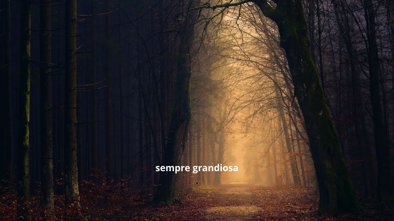 Selva e Floresta (Versão Recitada)