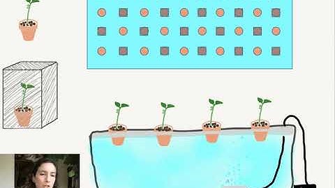 Week 7 Virtual Lab: Experimental Design