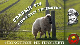 :    . ( -  ).