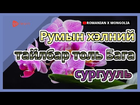 Видео: Шүүслэг хамгийн мадаггүй зөв хэлбэрүүд