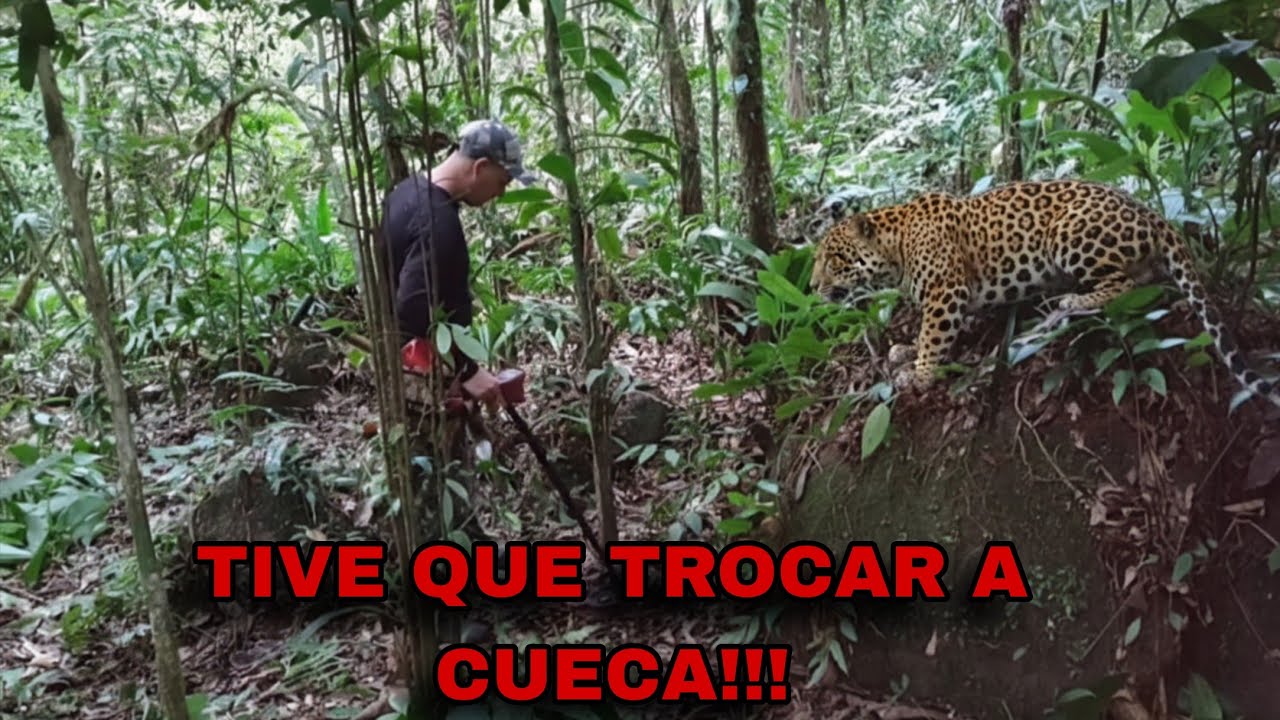 Não podia nem me mexer! 😱