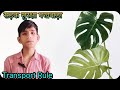 सड़क सुरक्षा पखवाड़ा l Road Safety Rule l यातायात साधन के नियम l Transport Rule l Ups Unchagaon l