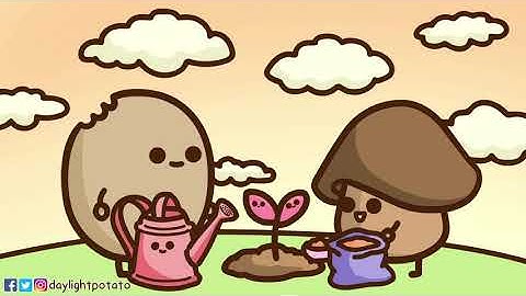 Plantopia The Card Game