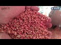 Wheat Seed Cleaning Line 5 ton/hour, Turkey - Walkthrough Video
