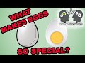 The Amazing Science Behind Eggs - Inside Things Episode 1