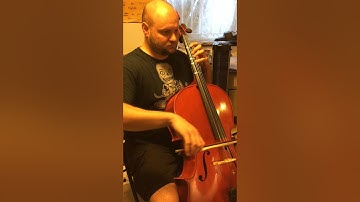 Piatti Book I, No. 13 Lee