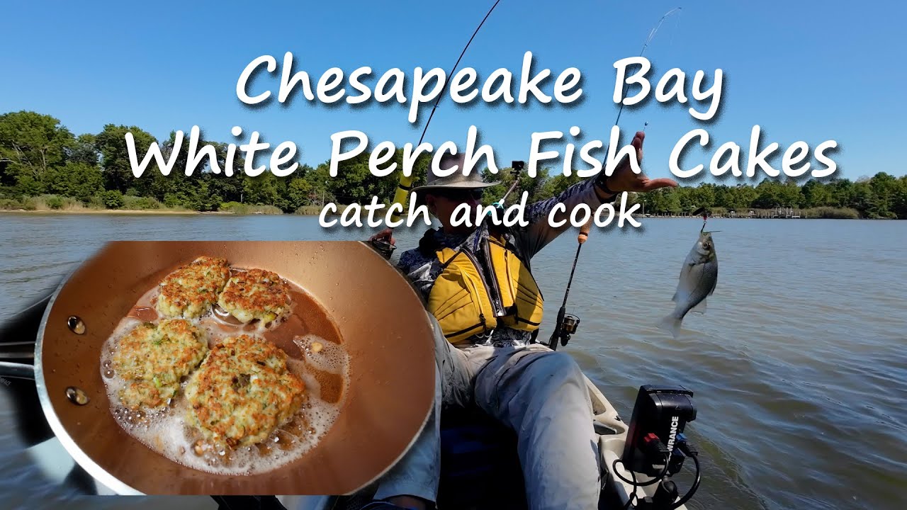 Chesapeake Bay White Perch Fish Cakes catch and cook