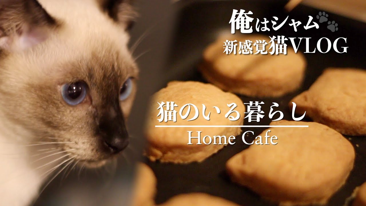 Home Cafe Living With A Cat Foaming Coffee Eng Sub Youtube