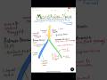#nerve #mandibular #biology #medical #neetpg #study #neet #anatomy