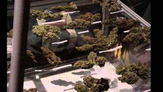 The Weed Nerd Episode #116