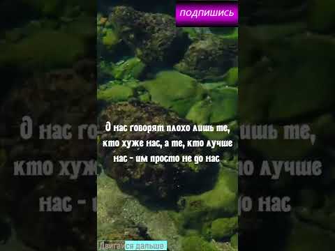 Если Вас обсуждают