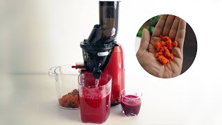 Kuvings B1700 Review | Best Cold Press Juicer?