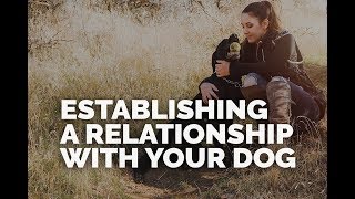 Establishing a Relationship with Your Dog