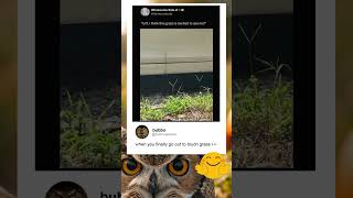 When You Havent Touched Gr In A Long Time