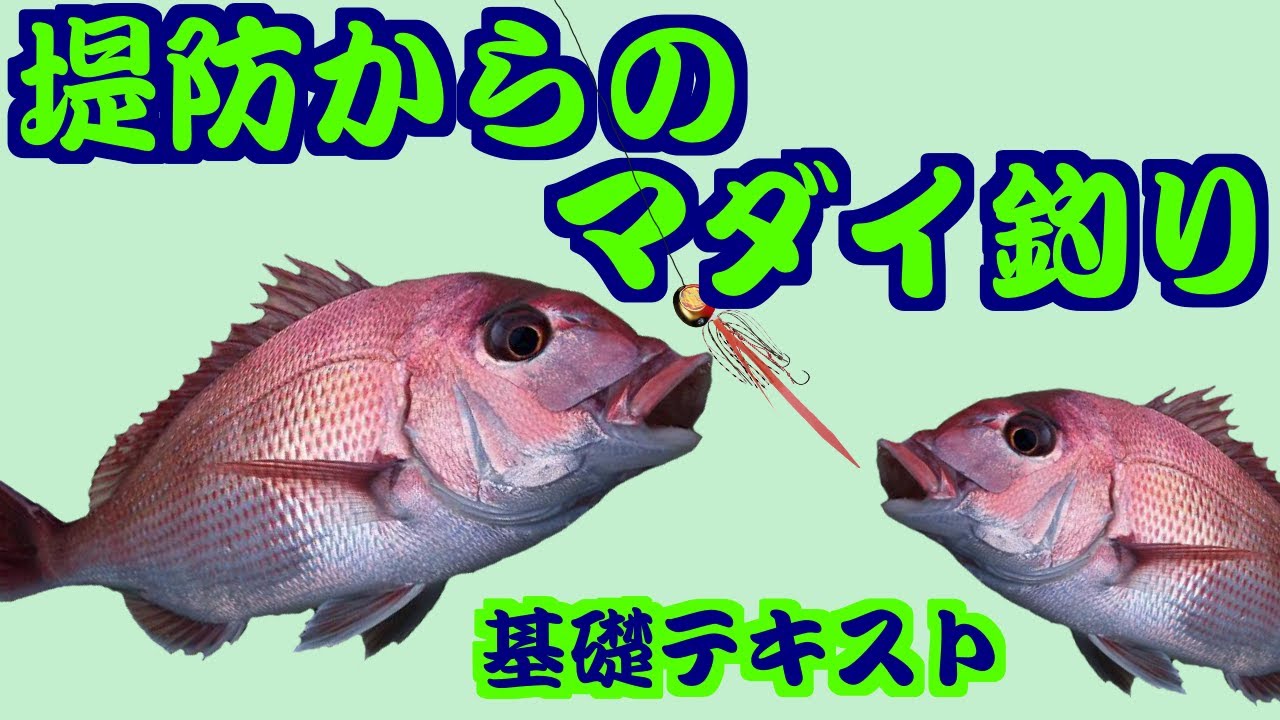 マダイ釣り 堤防からの仕掛け 釣り方 基礎テキスト編 Youtube