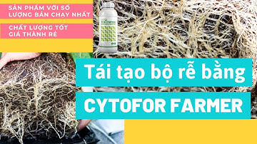 Tác dụng của sản phẩm CYTOFOR FARMER - FUNOFARM