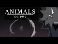 || Animals || OC PMV ||