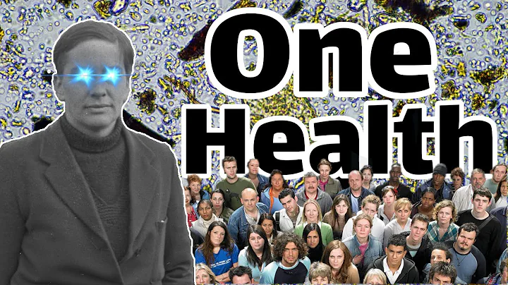 Is Soil the Key to Human Health?